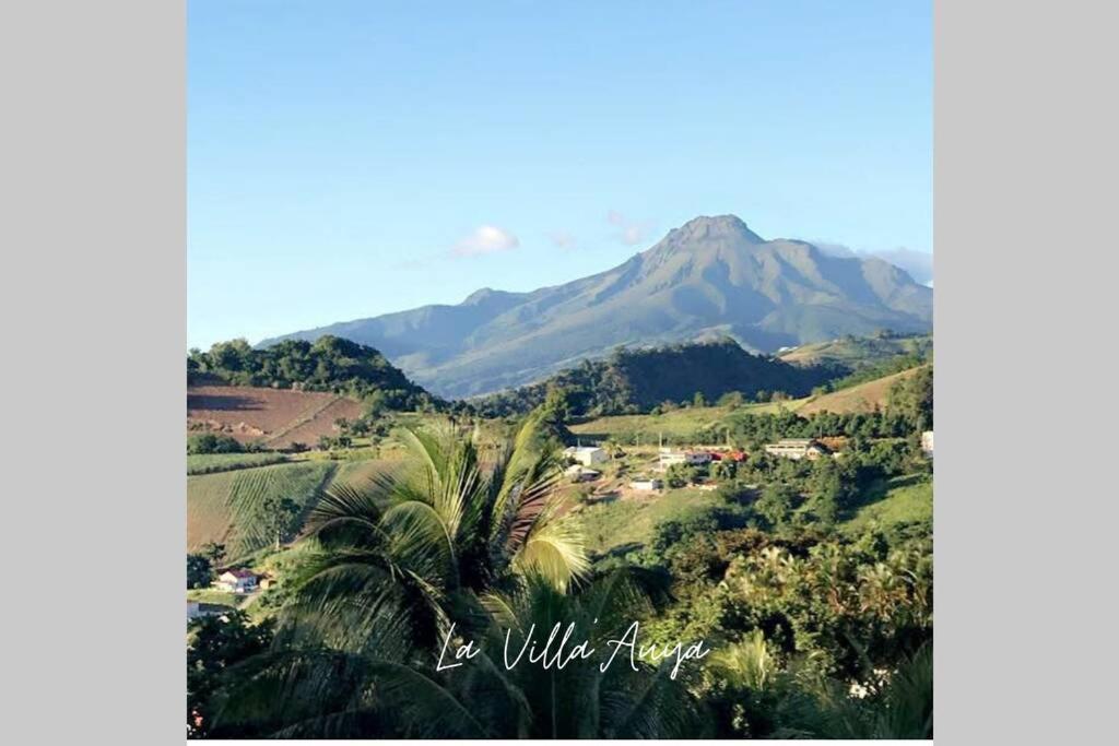 Villa Auya Entre Mer Et Montagne 勒卡尔贝 外观 照片